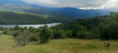 Прикрепленное изображение: 20230611_152625.jpg